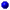 bullet
